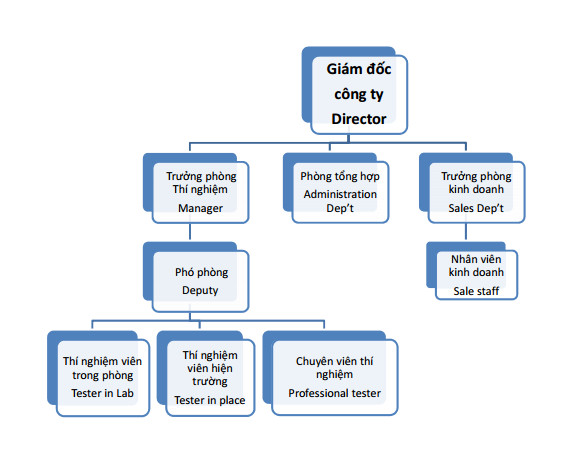 Mô hình tổ chức của COZY